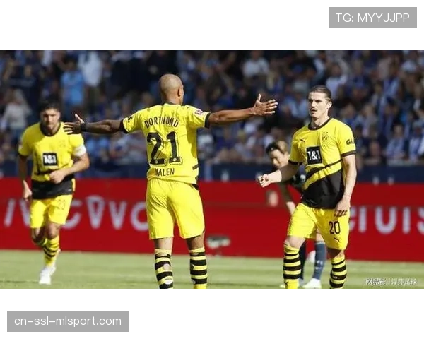 通讯：科隆球迷与警方发生冲突事件调查进展公布